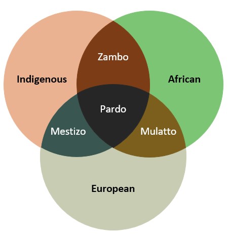 Pardos: a cor inventada para o Brasil fingir que não é negro